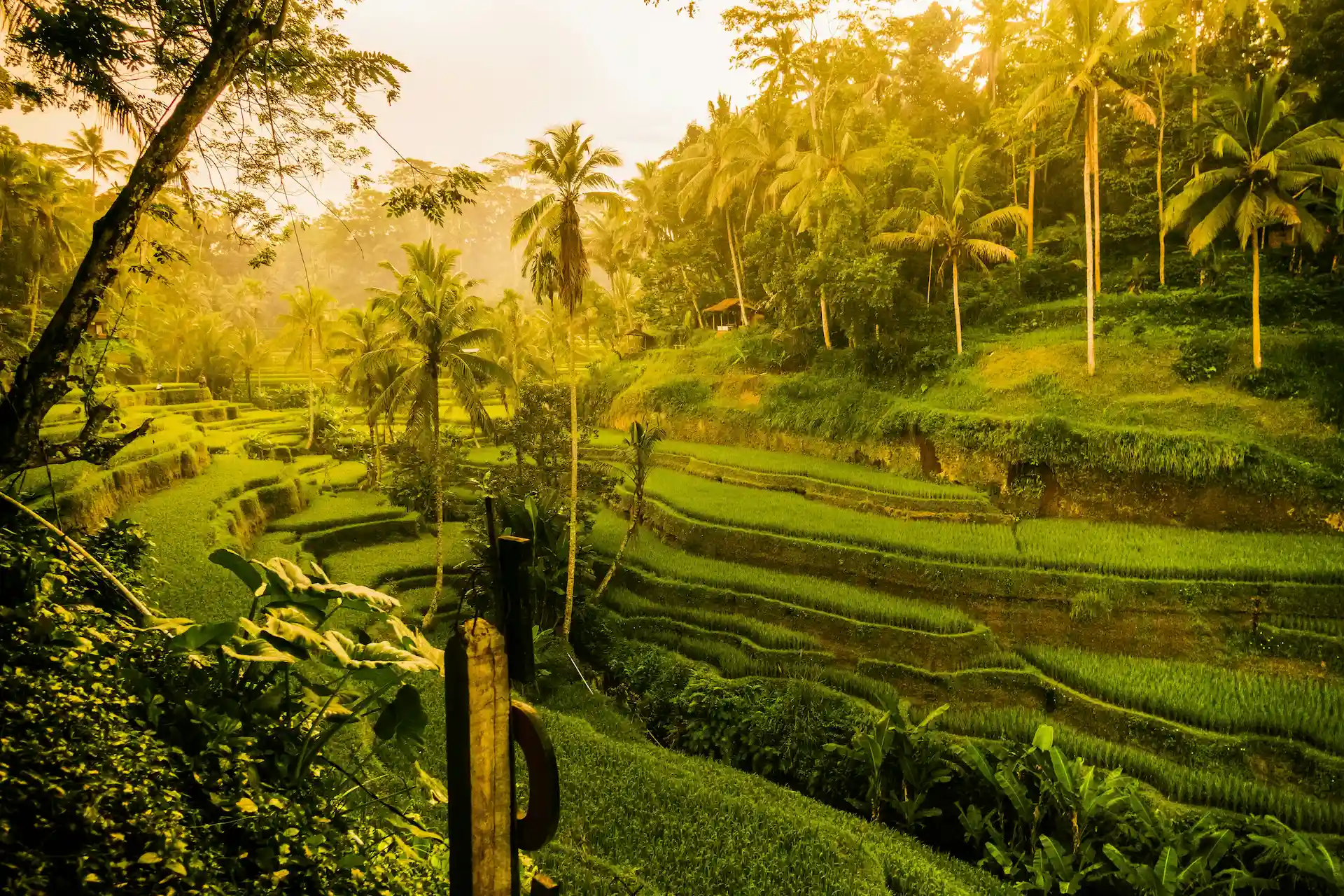 Bali Travel