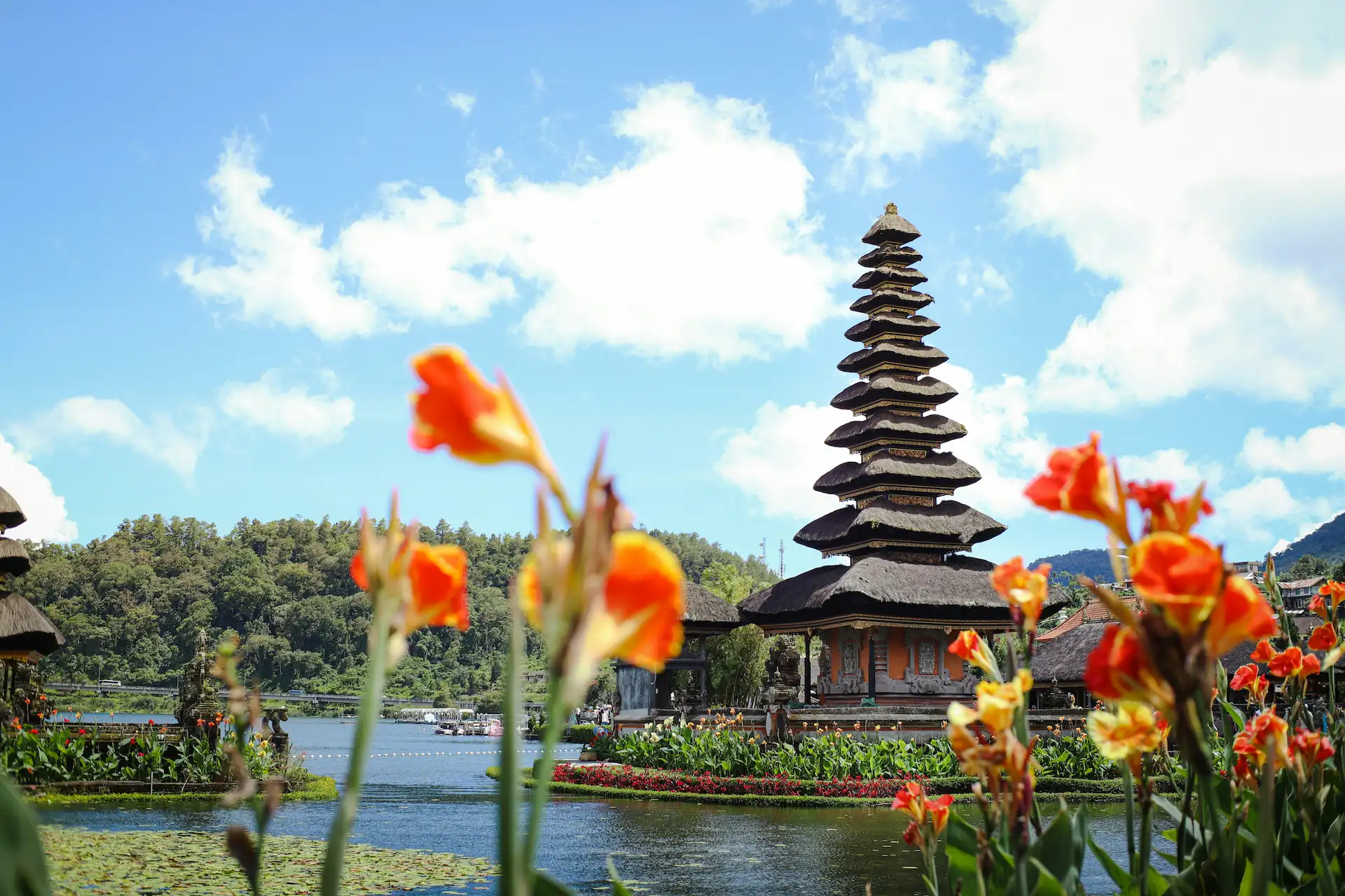Bedugul